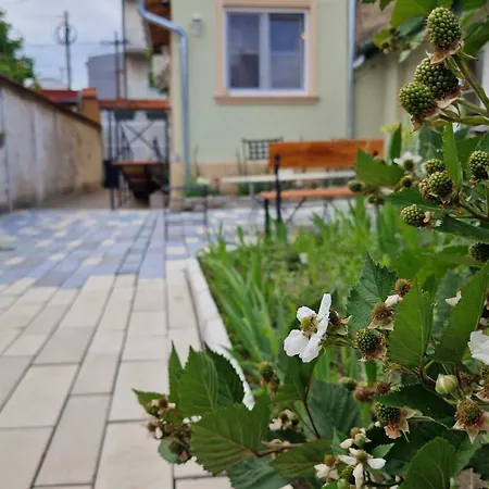 Rose Gardens Bed & Breakfast *