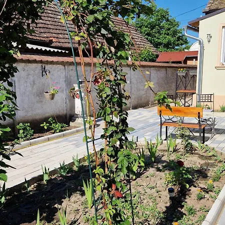Rose Gardens Vrsac